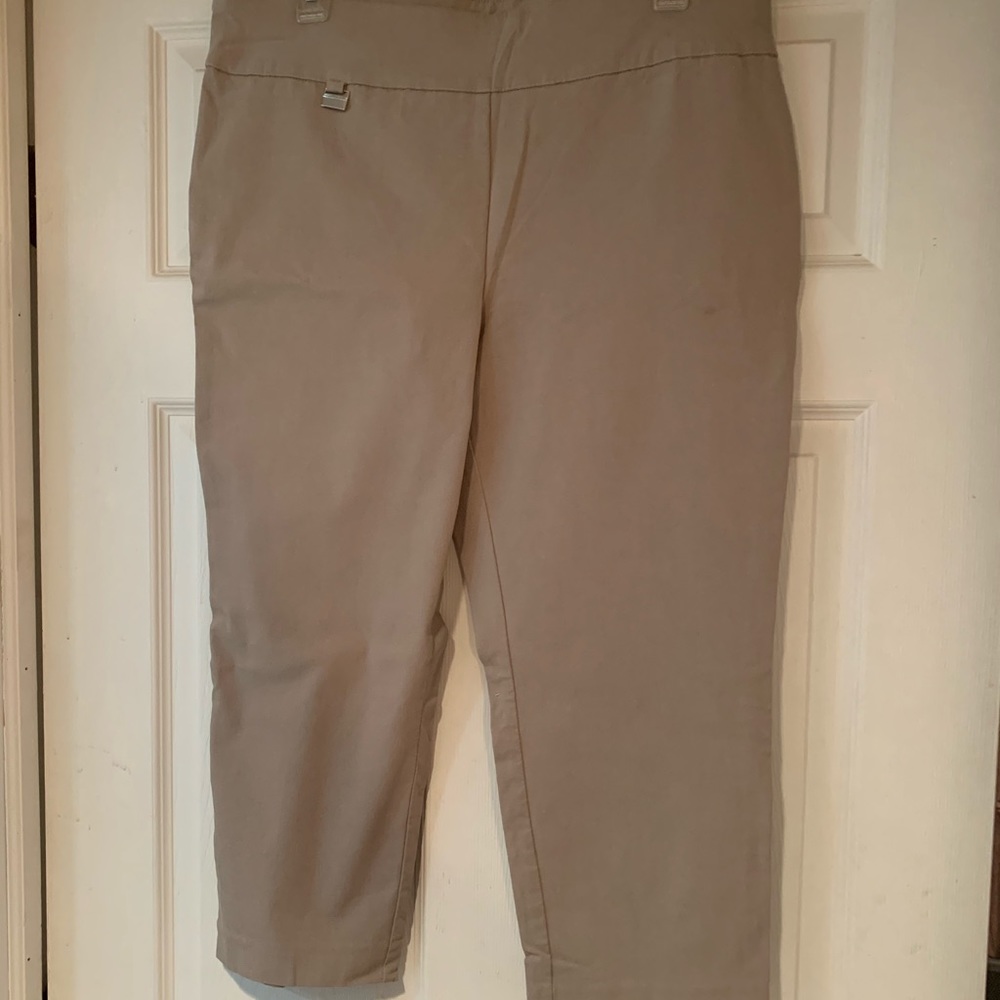 Alfani cropped pants